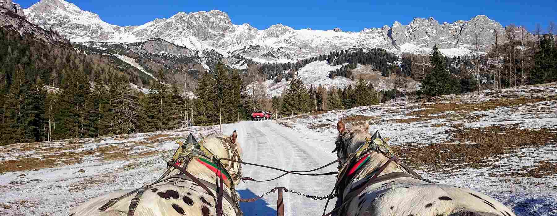 Pferdekutschen im Winter