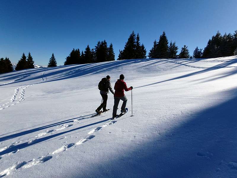 Schneeschuhwanderung in Südbayern. Schneeschuhwandern Berchtesgaden