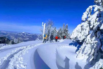 Gesundheitsprävention und Bewegung im Team