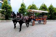 Pferdekutschen und Kutschenfahrten für ihre Incentives in Oberbayern und Salzburg