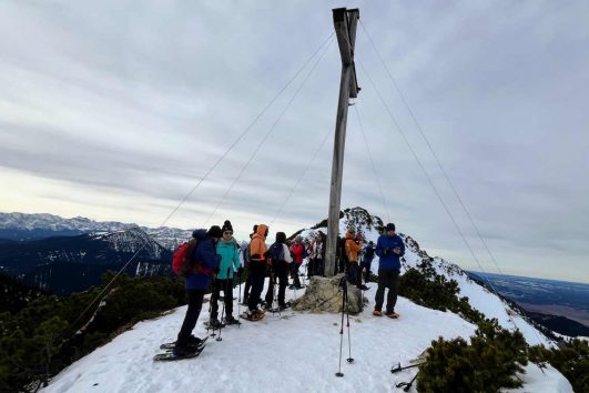Das "Brain Walk"-Projekt ist ein mehrstufiger Prozess, der die Identifizierung von Herausforderungen, die Durchführung von Workshops und Spaziergänge zum Brainstorming von Lösungen umfasst. Die Spaziergänge sollen Kreativität und Zusammenarbeit unter den Teammitgliedern fördern. Positive Erfahrungen und geteilte Werte unterstützen den Aufbau starker Teams.