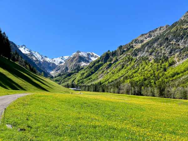 Allgäu