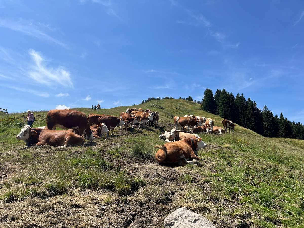 Easy Teambuilding Oberland