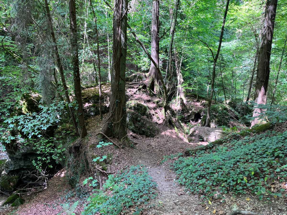 Als Teil unseres Easy Teambuilding „Heiliger Berg“ verbinden wir Bewegung in der Natur mit Teamgeist und bewussten Momenten der Entschleunigung. Der Weg symbolisiert den spirituellen Charakter der Tour: gemeinsam unterwegs sein, innehalten und neue Impulse für die Zusammenarbeit gewinnen.